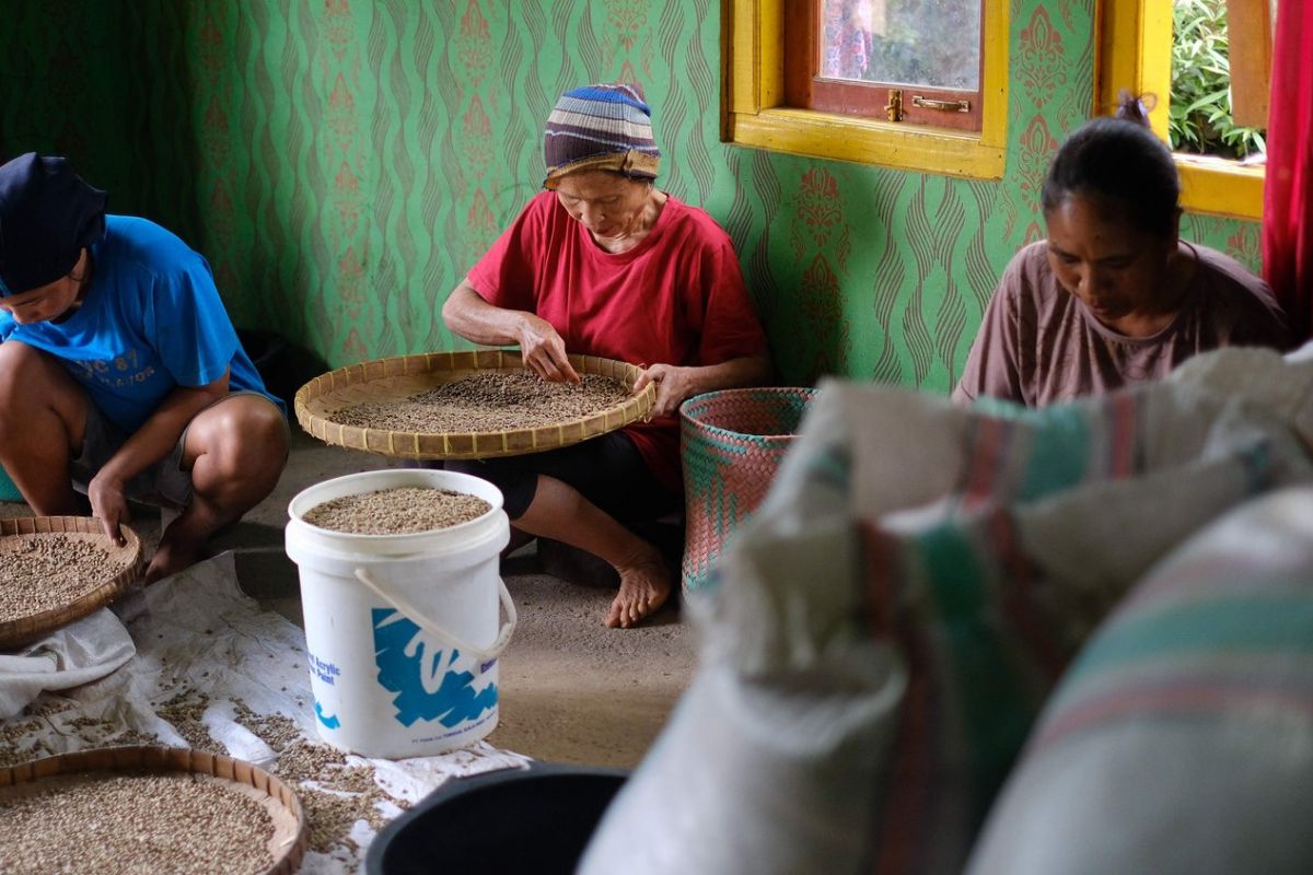 producteur - Les agricultrices de Sesean Suloara