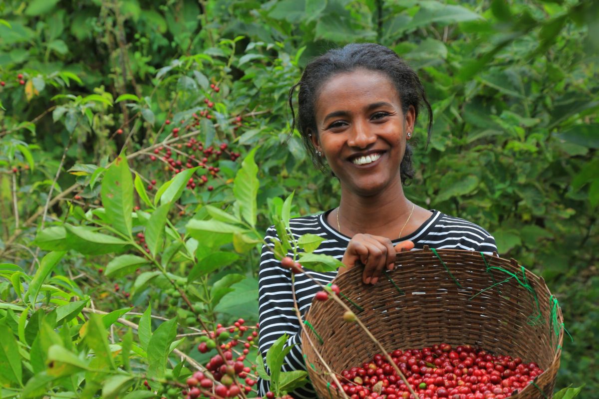 producteur - Wubit Bekele, fondatrice de Ephtah Specialty Coffee